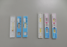 快篩試片組裝機